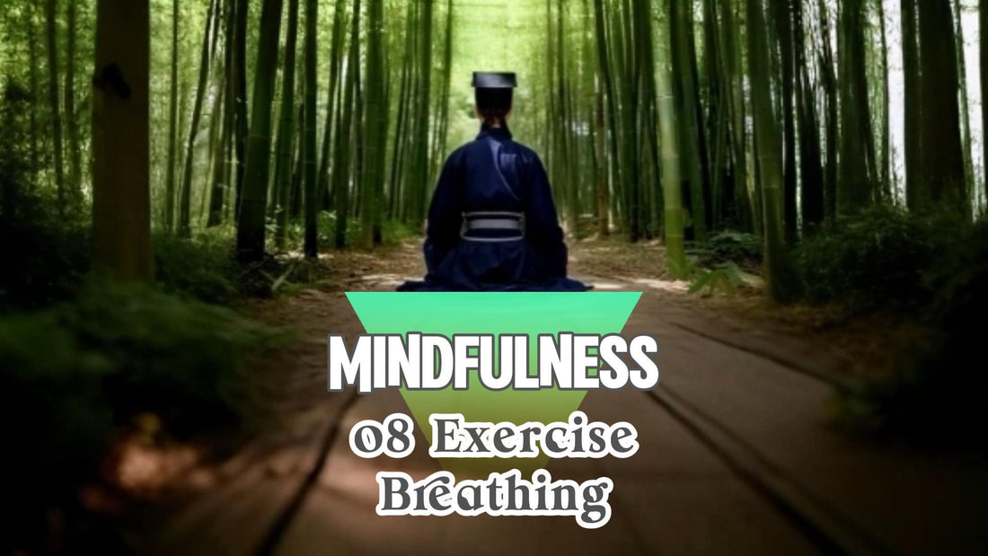 Mindfulness·08: continue to practice mindful breathing