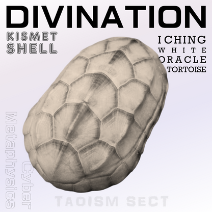 【Kismet Shell】Taoist Talisman; I Ching Divination tool;  White Tortoise Oracle Shell