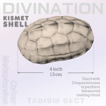 【Kismet Shell】Taoist Talisman; I Ching Divination tool;  White Tortoise Oracle Shell